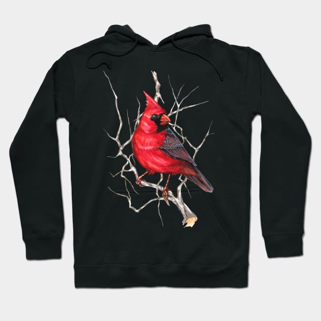 Northern Cardinal Hoodie by Primal Arc